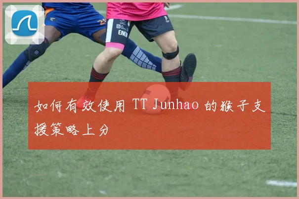 如何有效使用 TT Junhao 的猴子支援策略上分