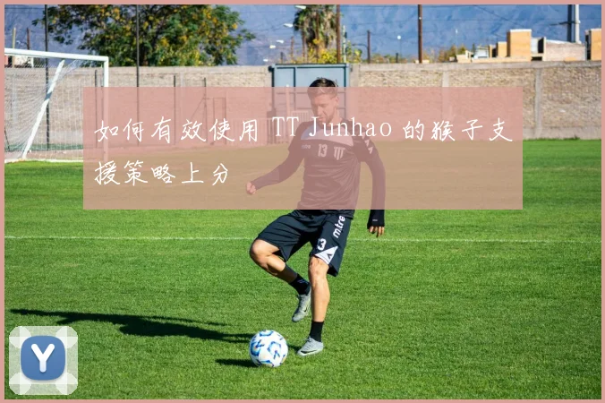 如何有效使用 TT Junhao 的猴子支援策略上分