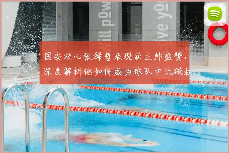 国安核心张稀哲表现获主帅盛赞,深度解析他如何成为球队中流砥柱
