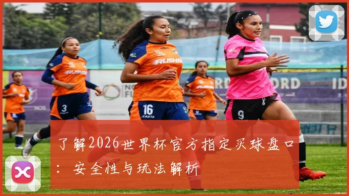 了解2026世界杯官方指定买球盘口:安全性与玩法解析