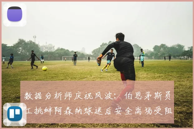 数据分析师庆祝风波:伯恩茅斯员工挑衅阿森纳球迷后安全离场受阻